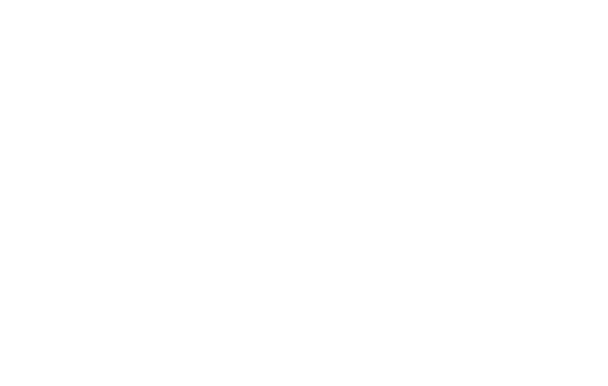 SRVE icon